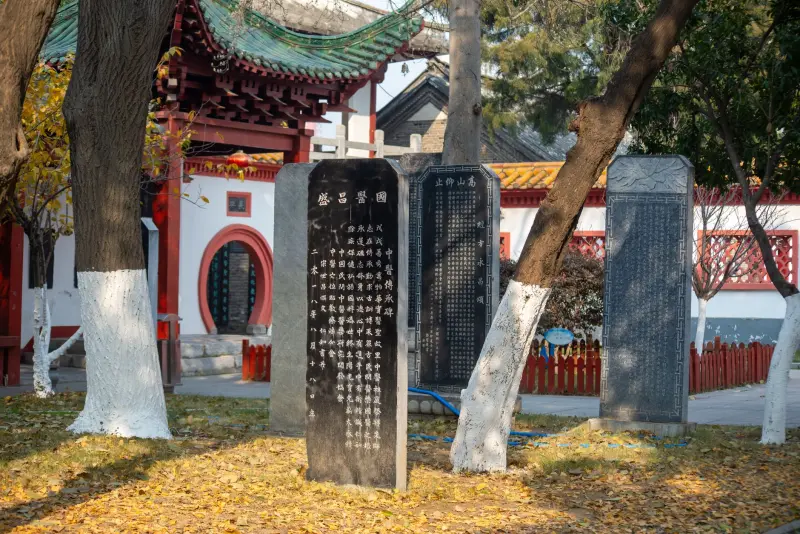佛山塑料管材行业2025年技术标准更新与应对策略